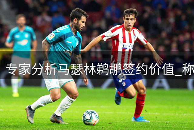 专家分析马瑟林鹈鹕签约价值 称其更适合火箭森林狼
